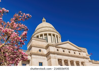 Sunny view of the State Capitol building with Magnolia blossom at Arkansas