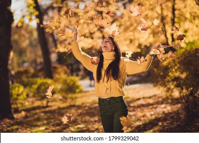 Sunny weather autumn day best rest relax choice. Positive girl imagine she kid throw catch fall fly maple yellow leaves in town center woods park outdoors wear knitted pullover sweater