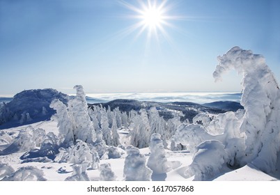 Sunny Winter Day In Bavarian Forest, Copy Space