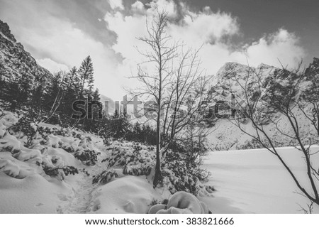 Image, Stock Photo jaw Environment Nature