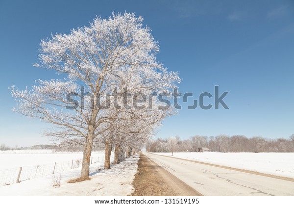 Sunny\
winter road, in Northern Ontario\
countryside.