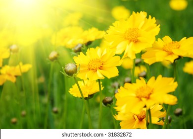 282,852 Blur yellow flower green background Images, Stock Photos ...