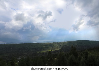 Sunray lighting up the forest.
 - Powered by Shutterstock - Get 15% off with code: PIKWIZARD15
