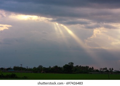 sunrays 