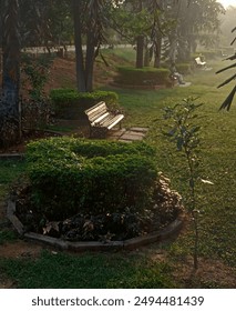 Sunrays falling on bench of park.