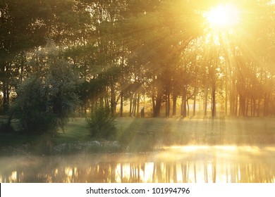 Sunrays Over The City Park Early Morning