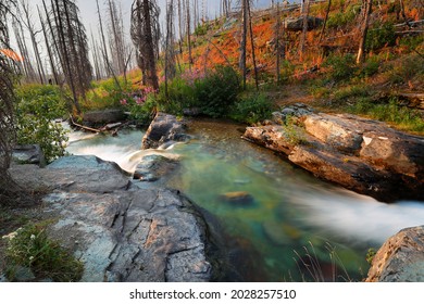 Sunrift Gorge At Sunrise In Glacier National Park, Montana USA. 