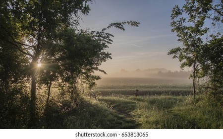 sunrise