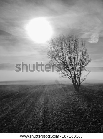 Similar – Wahner Heide ruhig Natur