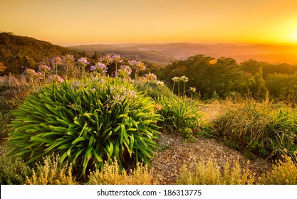 Sunrise In The Adelaide Hills