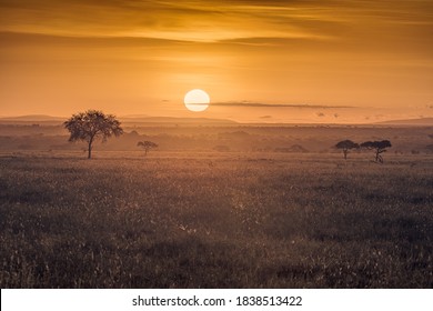 Sunrise in the african savannah, Serengeti National Park