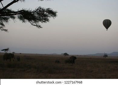 Sunrise With Air Balloon And Elephants At Serengeti National Park, Tanzania