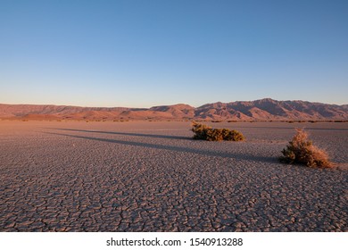 Sunrise in Alvord desert. Small bushes cast long shadows from a low sun