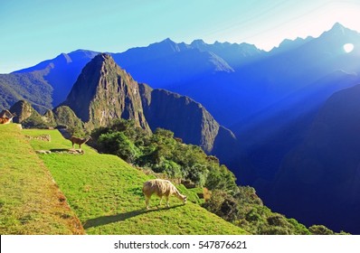 Sunrise In Ancient Inca City Machu Picchu, Peru,South America