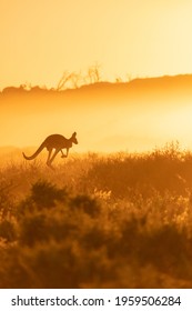 A Sunrise Background In Australia Outback