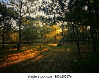 Sunrise At Baguio - Burnham Park