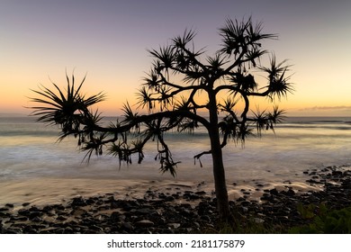 Sunrise at the beach, Noosa Head, Australia