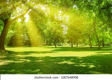 Sunrise beam in the beautiful park