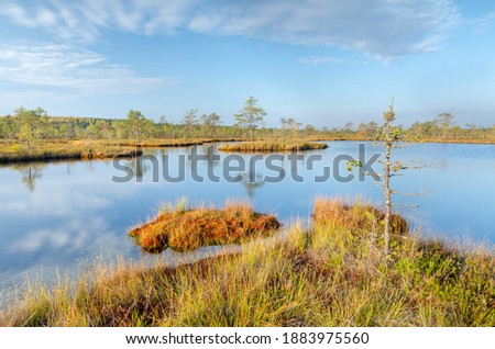 Sunrise with a beautiful colourful bog landscape in the autumn. Kõnnu-Suursoo, Estonia.