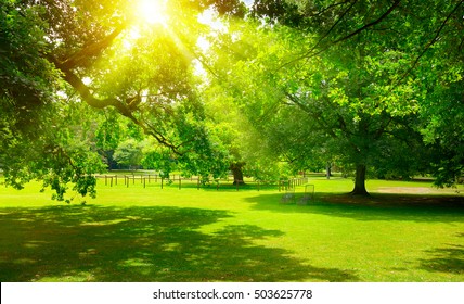 Sunrise in the beautiful park - Powered by Shutterstock