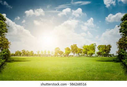 Sunrise In The Beautiful Park