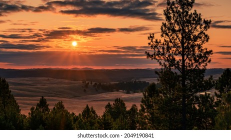 Sunrise In The Black Hills National Forest Of South Dakota