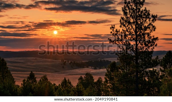 Sunrise in the Black Hills National Forest of\
South Dakota