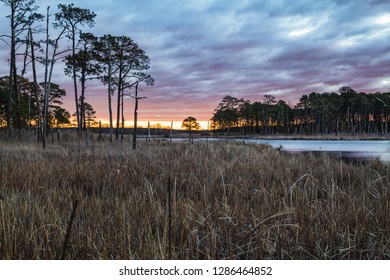 Sunrise At Blackwater National Wildlife Refuge