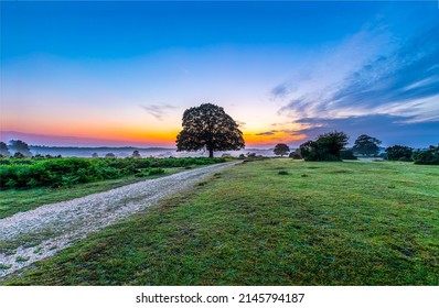Sunrise in the bosom of nature. Beautiful sunrise on rural landscape. Countryside field road in morning at dawn. Dawn of rural field