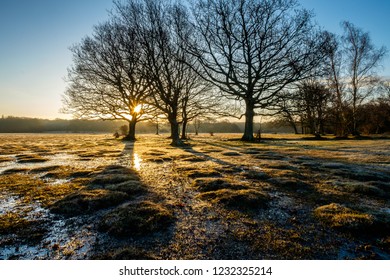 Sunrise In  Brockenhurst New Forest Beautiful Spring Morning