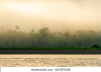 Amazon Basin Images Stock Photos Vectors Shutterstock