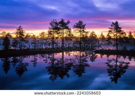 Sunrise by a lake in a bog with water reflections
