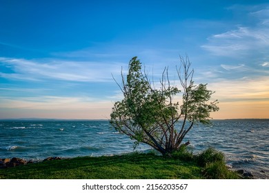 Sunrise by the lake with green bush at the front