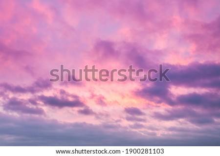 Sunrise clouds skyscape soft pink and purple tones. Majestic summer day cloudy weather. Romantic atmosphere of trendy background illustration desigh in warm pattern. Lovely rose sky panorama shot