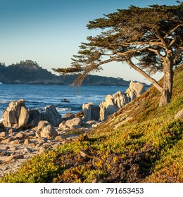 Sunrise At Coast Of Carmel, CA, USA