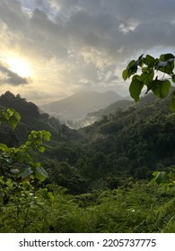 Sunrise In The Colombian  Jungle 