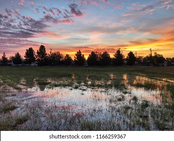 Sunrise color reflected in a drainage pond, after a heavy rain.