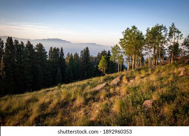 Sunrise In Colorado's San Juan National Forest.