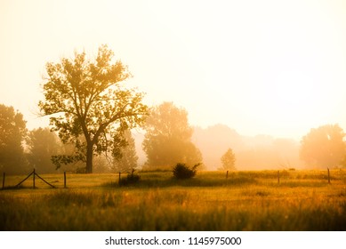 Glorious Sunrise Over Grassy Rural Landscape Stock Photo 1054771703 ...