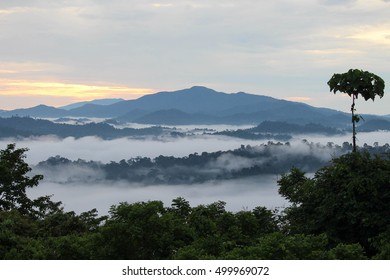 Sunrise At Danum Valley Conservation Area, Sabah - Borneo, Malaysia