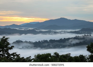 Sunrise At Danum Valley Conservation Area, Sabah - Borneo, Malaysia