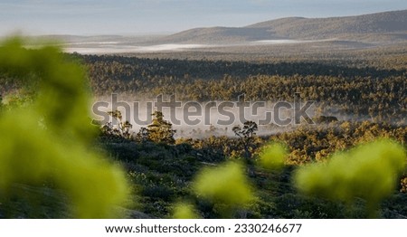 Sunrise in the Darling Range