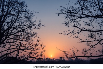 Sunrise In Delhi.
A Glowing Sunrise On A Winter Morning, Captured Through He Woods In Delhi.