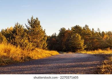 Sunrise early on a small road. Sunny misty morning on a country road. Scenic sunrise at fall. Beautiful colorful foliage at countryside pathway - Powered by Shutterstock