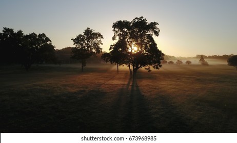 Sunrise In East Texas