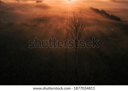 Similar – Morgens nebliger Fluss. Sommer nebliger Sonnenaufgang