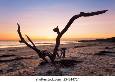 Sunrise At Folly Beach, James Island, South Carolina, USA