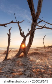 Sunrise At Folly Beach, James Island, South Carolina, USA