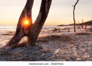 Sunrise At Folly Beach, James Island, South Carolina, USA