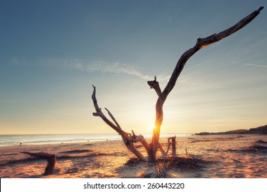 Sunrise At Folly Beach, James Island, South Carolina, USA